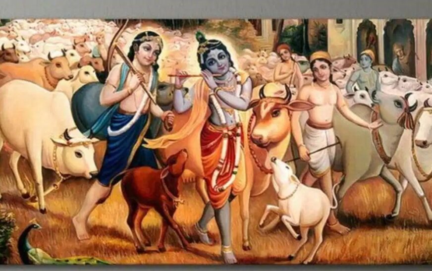 GOPASHTOMI–1966 ||| INDIAN P.M. KILLED MONKS